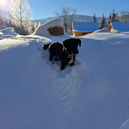 Apartamento Trzy Siostry