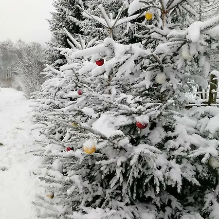 Trzy Siostry Apartamento *