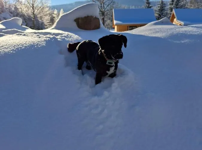 Apartment Trzy Siostry