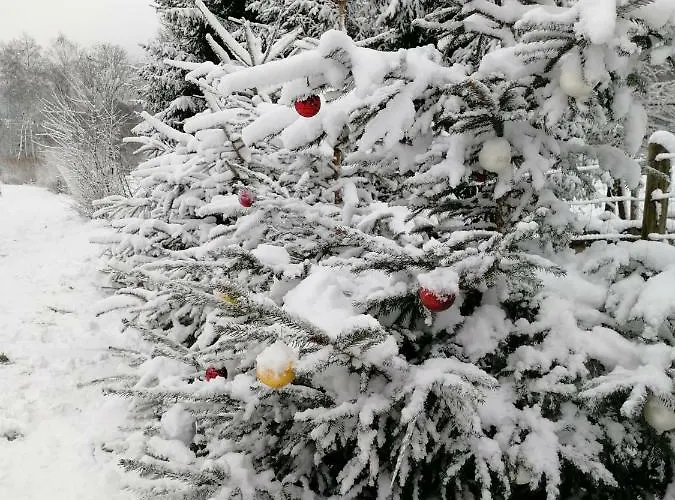 Trzy Siostry Apartment *