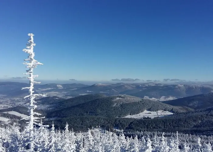 Apartment Trzy Siostry